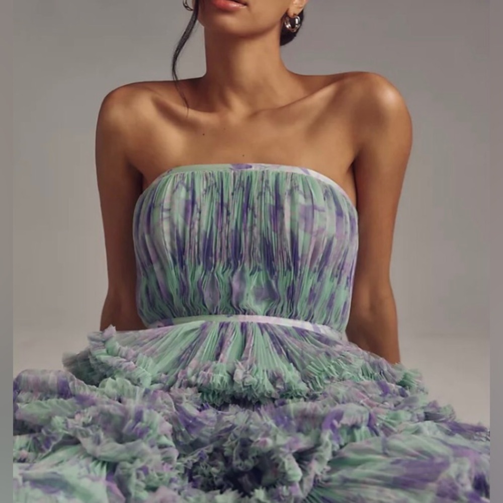 Hutch Anthropologie Giada Floral Mesh Ruffle Maxi Gown
